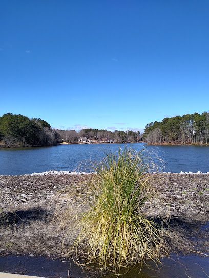 electrical inspection near me